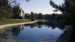 Weed and Algae Control - Before